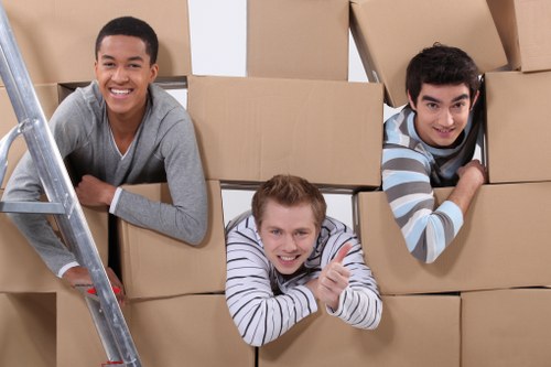 Customer complaint review for a man and van service